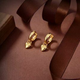 Picture of Bottega Veneta Earring _SKUBVEarring07cly119457